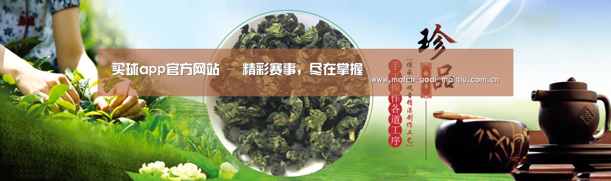 易优Cms-演示站